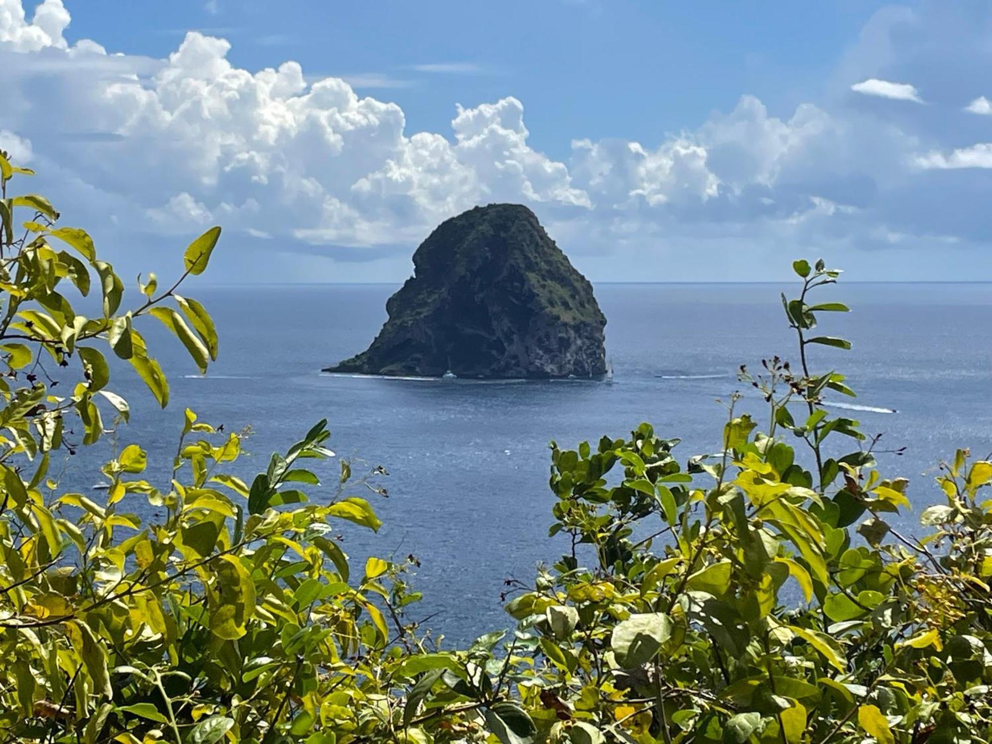 Martinique Studio Esca勒迪亚芒 外观 照片
